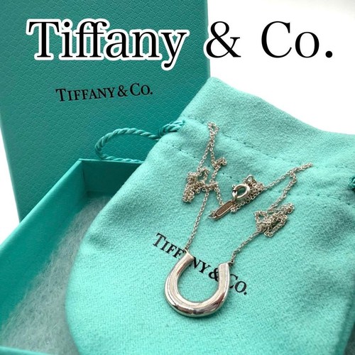 Tiffany horseshoe - tiffany, co.